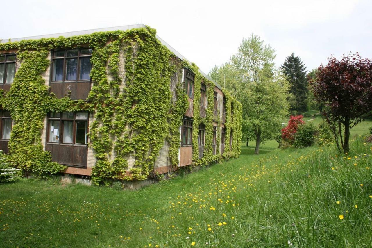 Wildbach Appartement Ober-Hambach Exterior photo